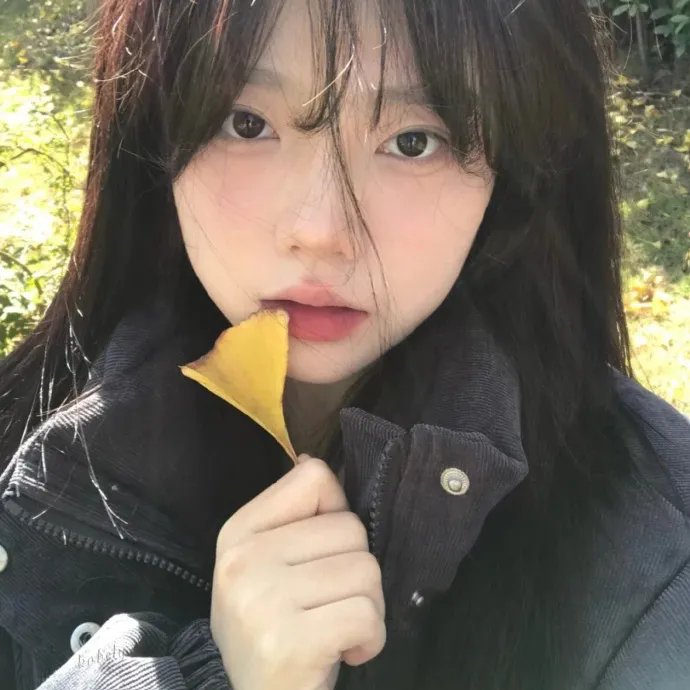灵长类
